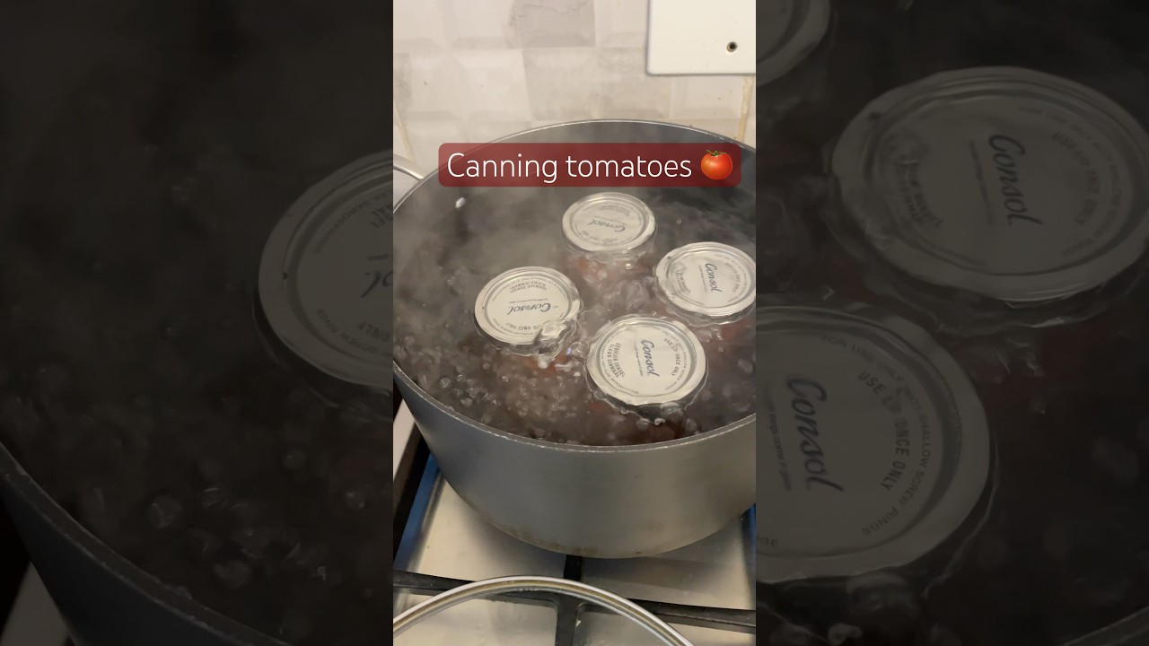 Canning tomatoes 🍅 