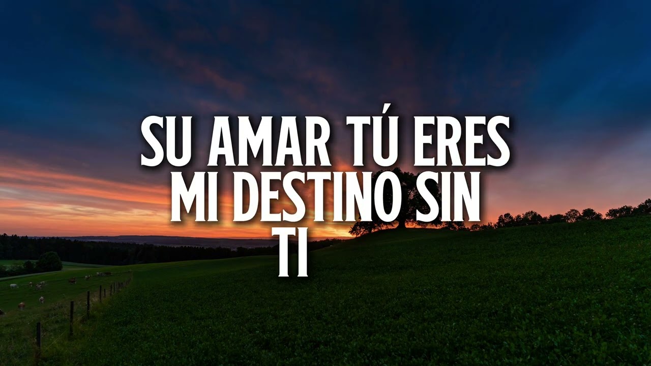 Su Paz 🤍✨ - David Cort&eacute;s.