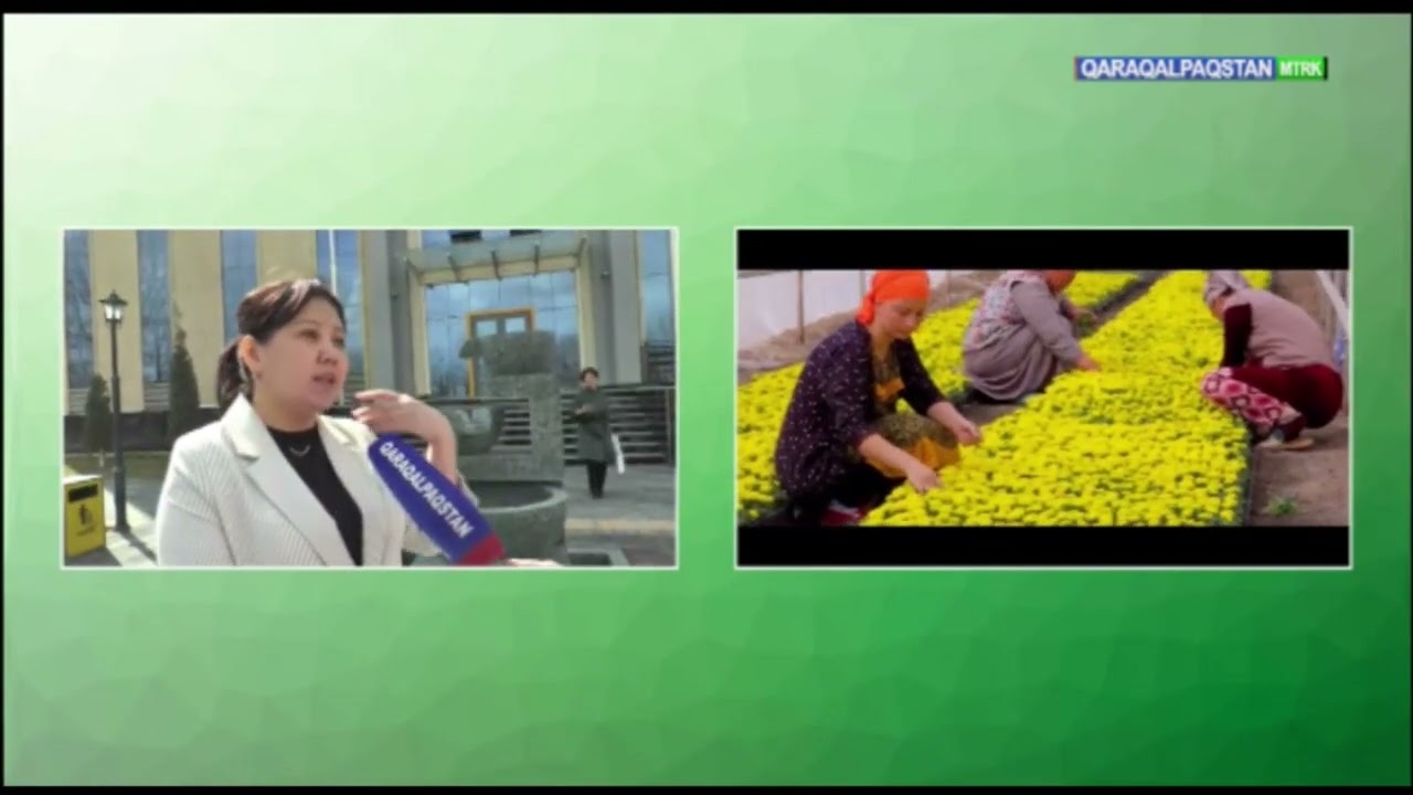 #Tikkeley_efir