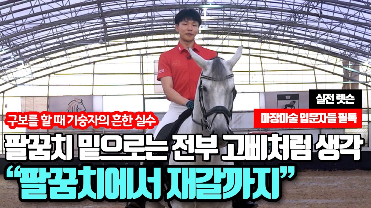 1편 [입문자들 필독] 마장마술의 기초자세 👀실전렛슨
