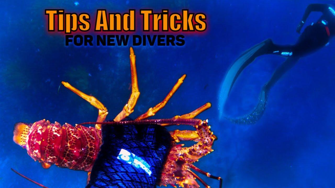 TIPS & TRICKS! Spearfishing New Zealand