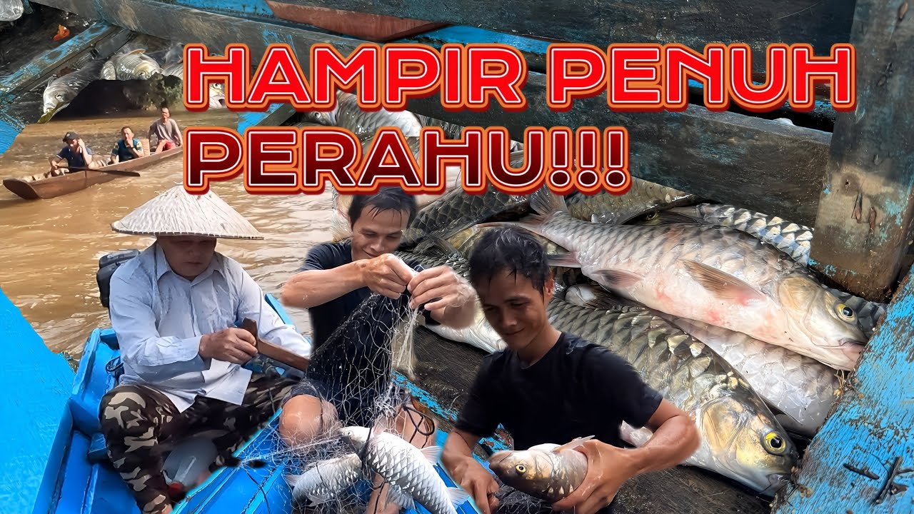 MEMUKAT | Selesai Casting,Lihat Hasil Pukat.Air Besar Bukan Penghalang!!! #jnbchannel8890 