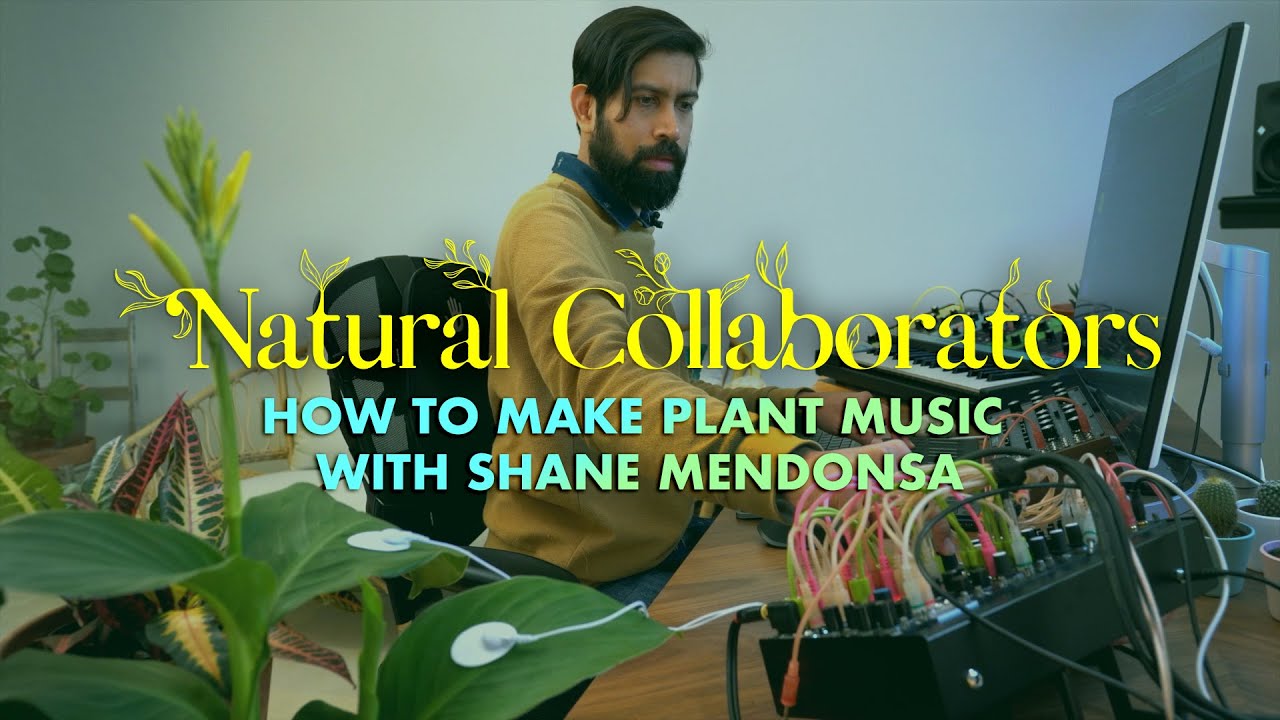 How to make plant music