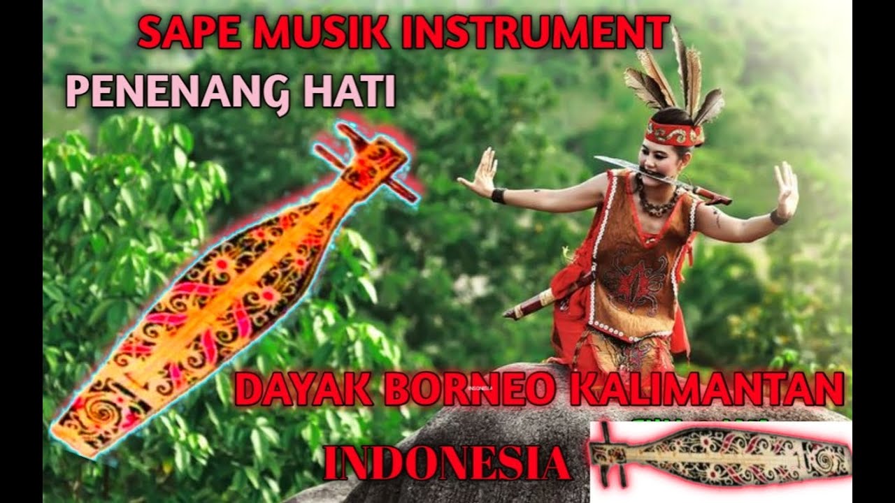 INSTRUMEN MUSIK SAPE DAYAK KALIMANTAN MERDU ENAK DI DENGAR | Relaxing penghantar tidur