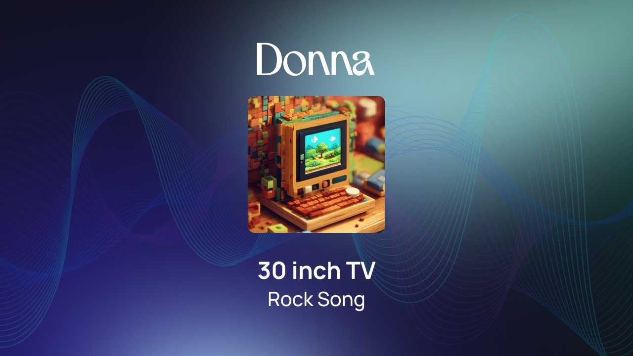 30 Inch TV