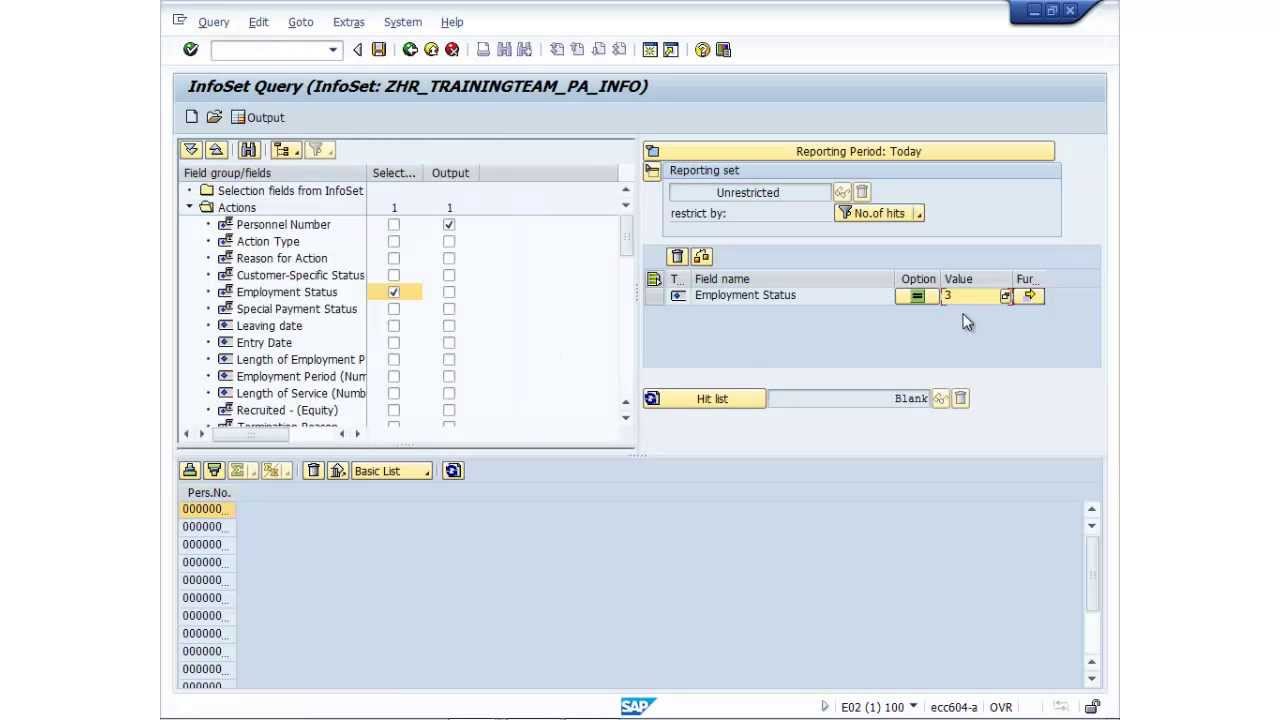 How to use SAP HR Ad Hoc Query in 5 Minutes!