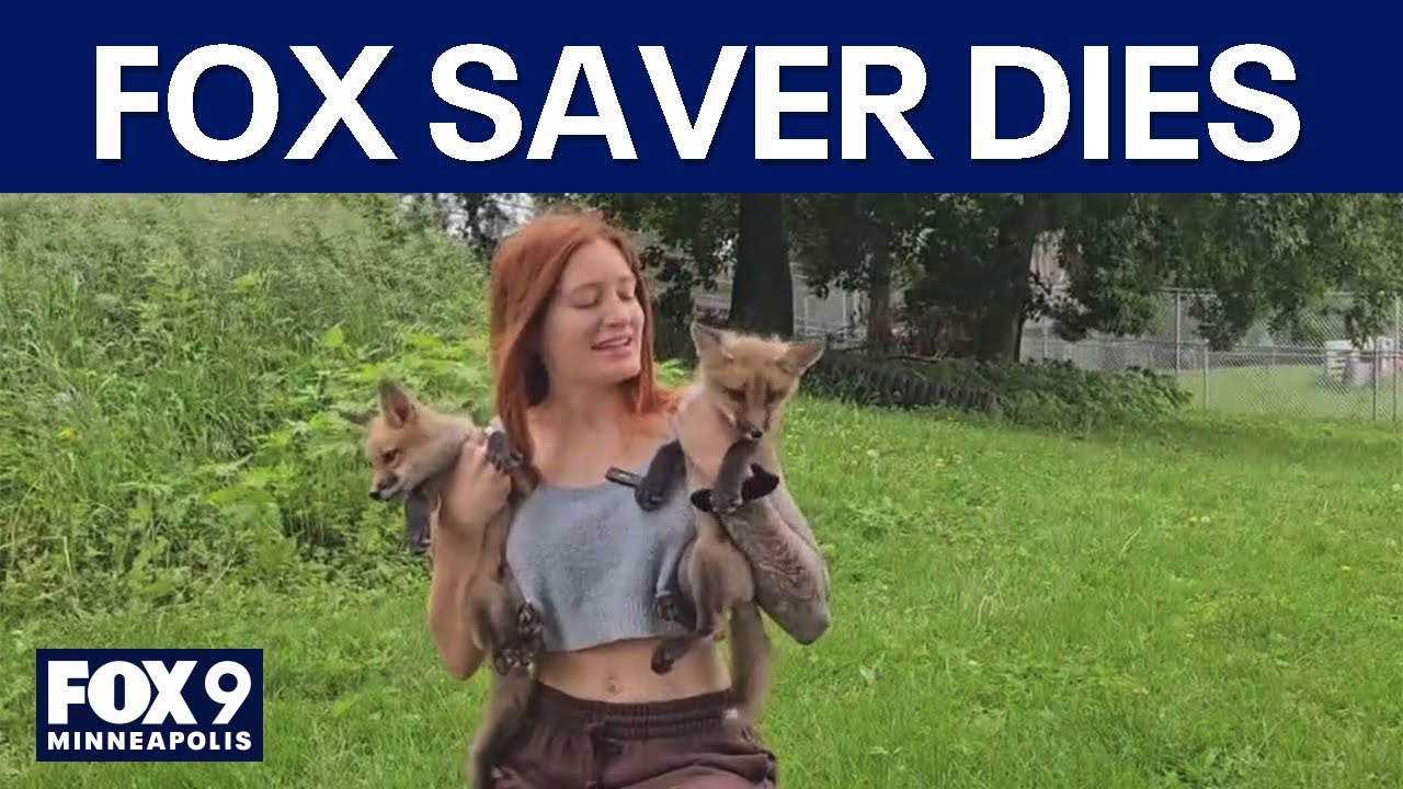 'Save-A-Fox' founder dies of suicide