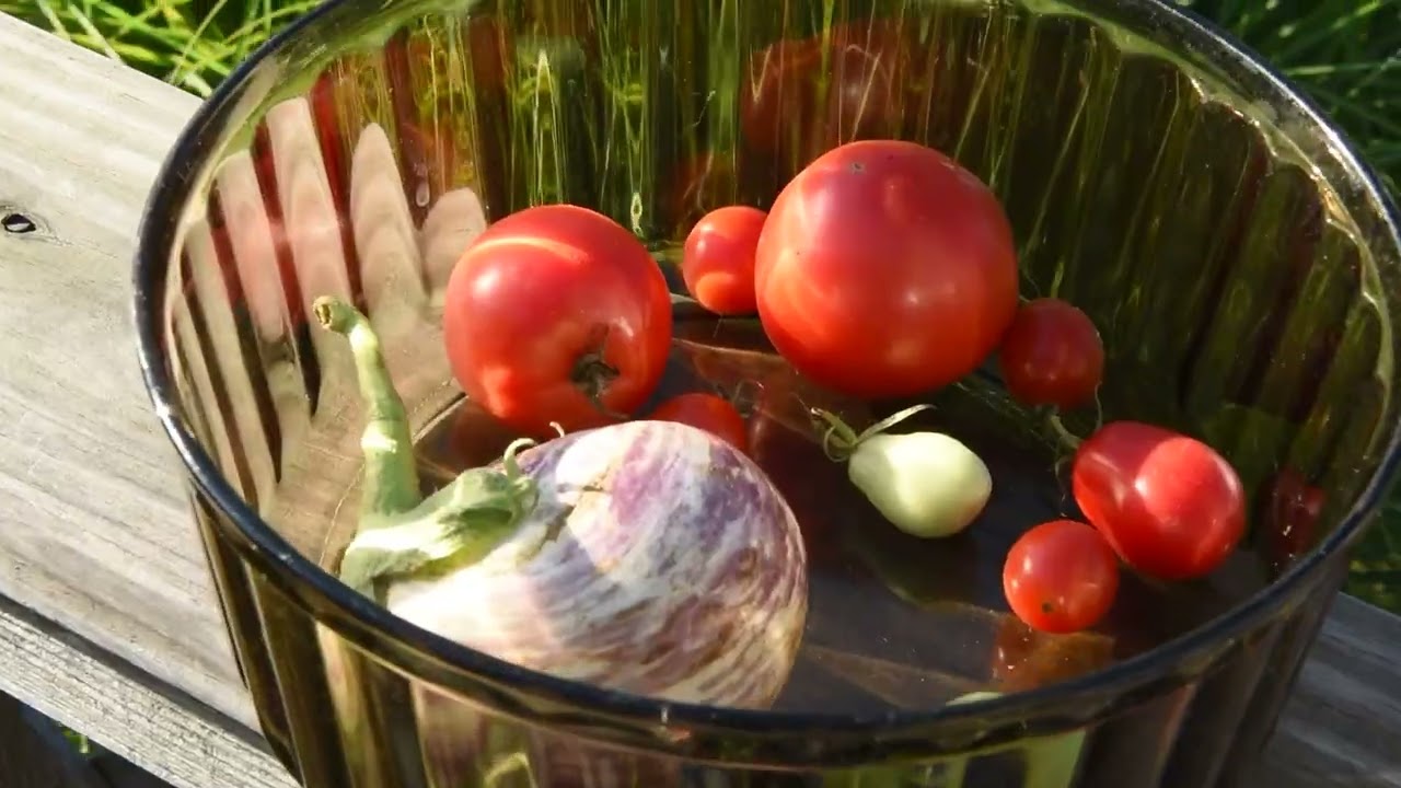 Garden Summer Harvest