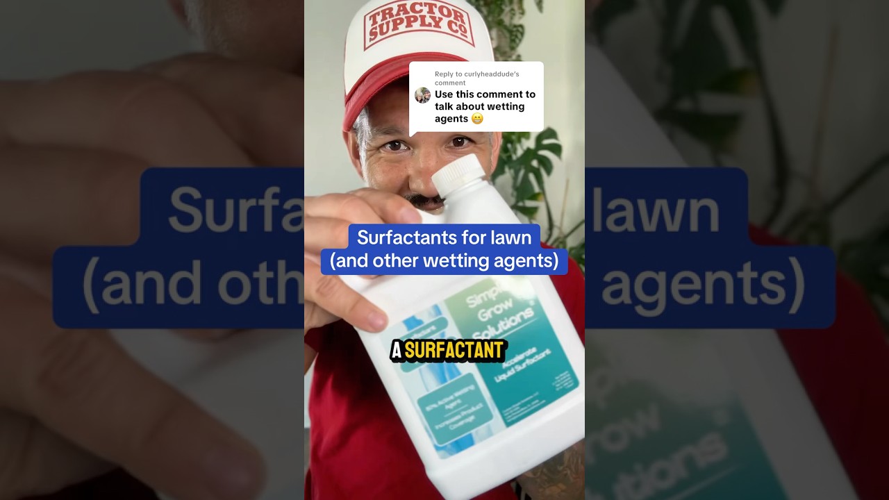 What does surfactant do for lawn?