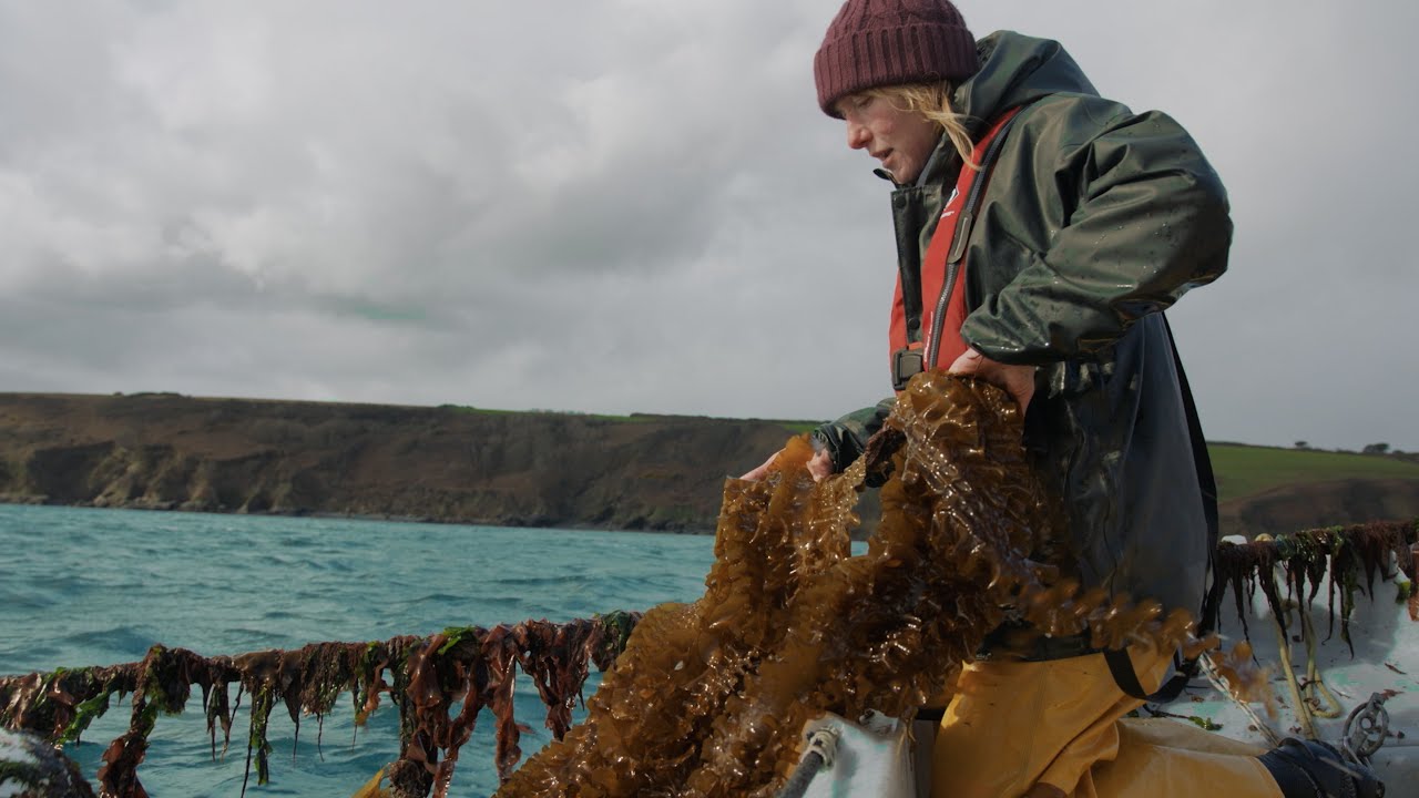 Ocean Greens Film | The Pioneers of Food | Quorn 2022