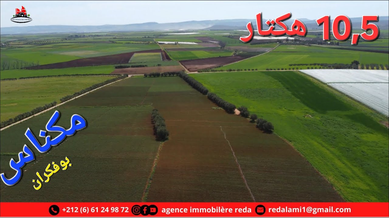 مكناس ارض فلاحية 10.5 هكتار Terrain Agricole 10.5 H Meknes