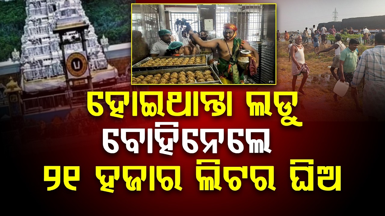 ତିରୁପତି ବାଲାଜୀଙ୍କ ପାଇଁ ଯାଉଥିବା ୨୧ହଜାର ଲିଟର ଘିଅ ଟ୍ୟାଙ୍କର ଓଲଟିଲା ଆଉ ତା ପରେ... ll FOCUS PLUS ||