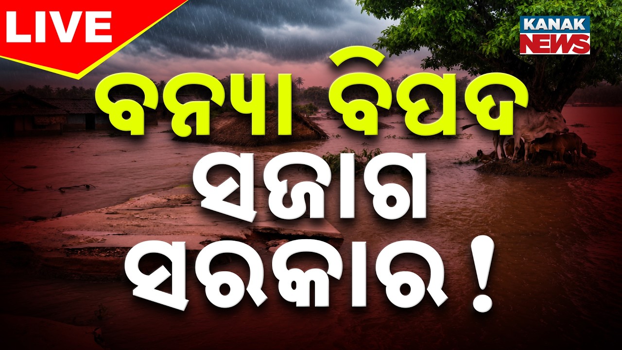 🔴 ବନ୍ୟା ବିପଦ, ସଜାଗ ସରକାର ! Flood Alert In Odisha! | Heavy Rain ! | Odisha Weather | Kanak News LIVE