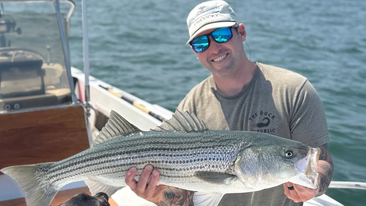 Slaying big striped bass in 20’ of water. Non- stop action!