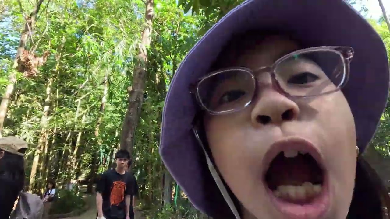 Zoobic Safari 2025
