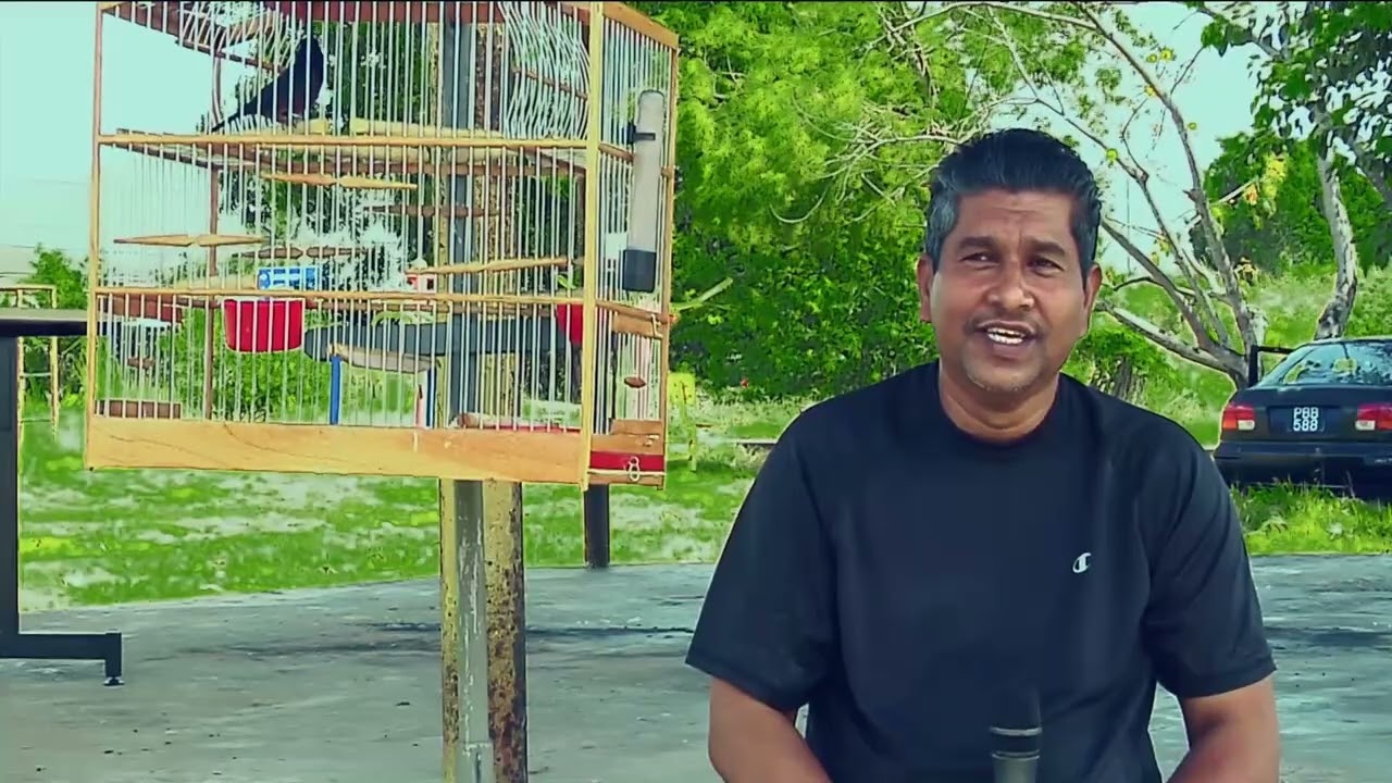 Trinidad's bird men