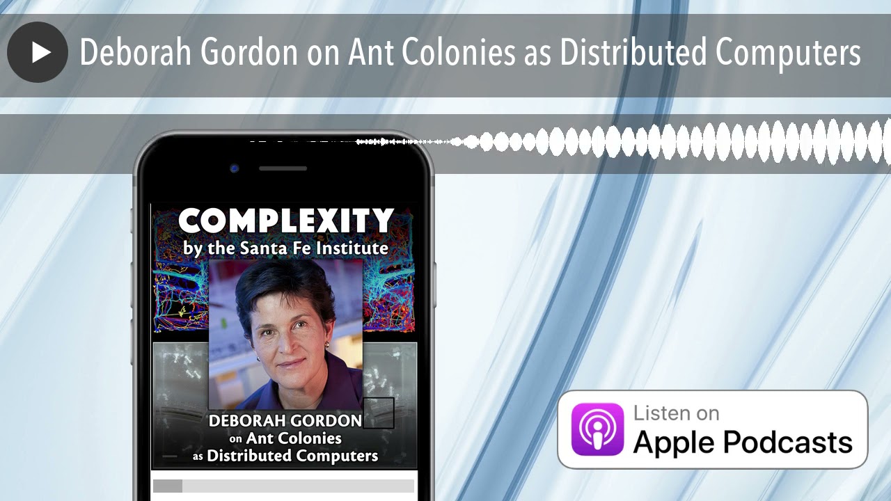 Deborah Gordon on Ant Colonies as Distributed Computers