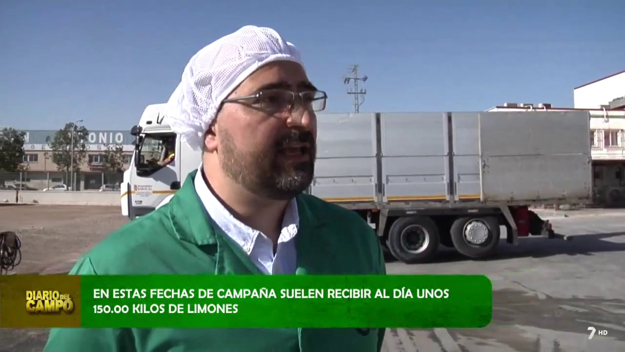 Diario de Campo canal 7 Murcia-Entrevista Derivados Cítricos