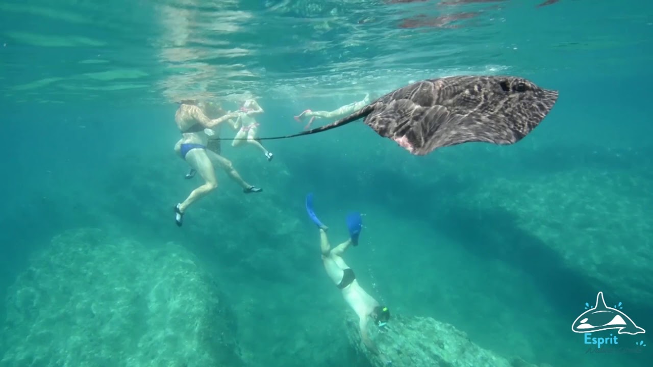 Le sentier sous marin de la Réserve Naturelle de Cerbère Banyuls