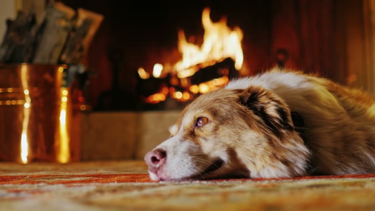 Fireplace with Relaxing Music: Crackling Fireplace + Peaceful Piano | Ultimate Relaxation