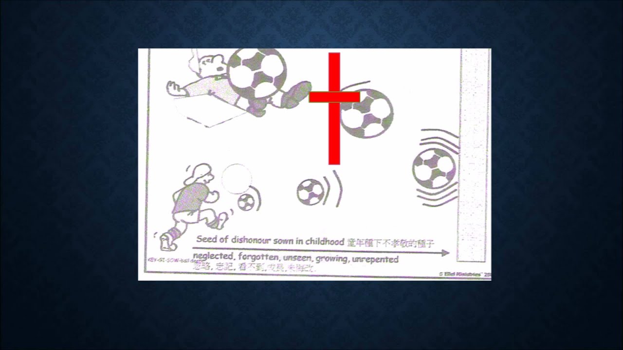 苦毒根的論斷  20150627