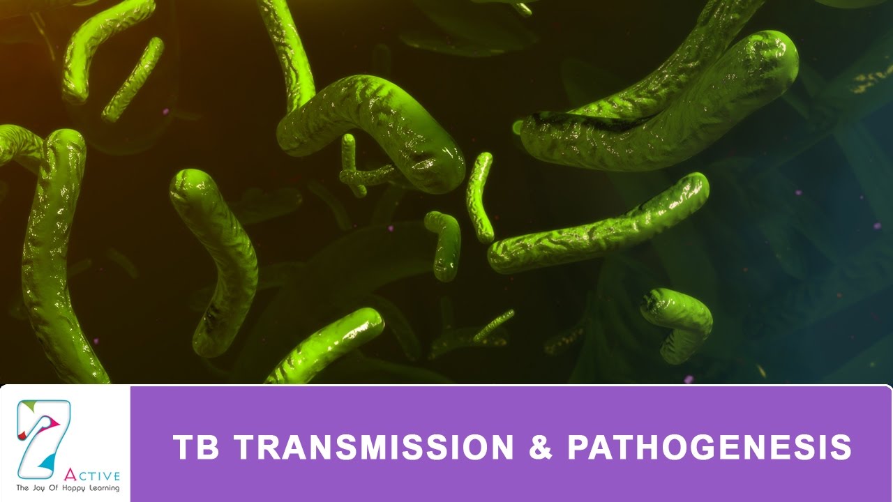 TB TRANSMISSION & PATHOGENESIS