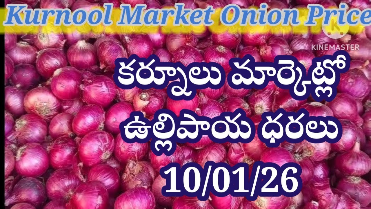 10 January 2026| Today onion price Kurnool | Kurnool market Rate | Kurnool onion price today 