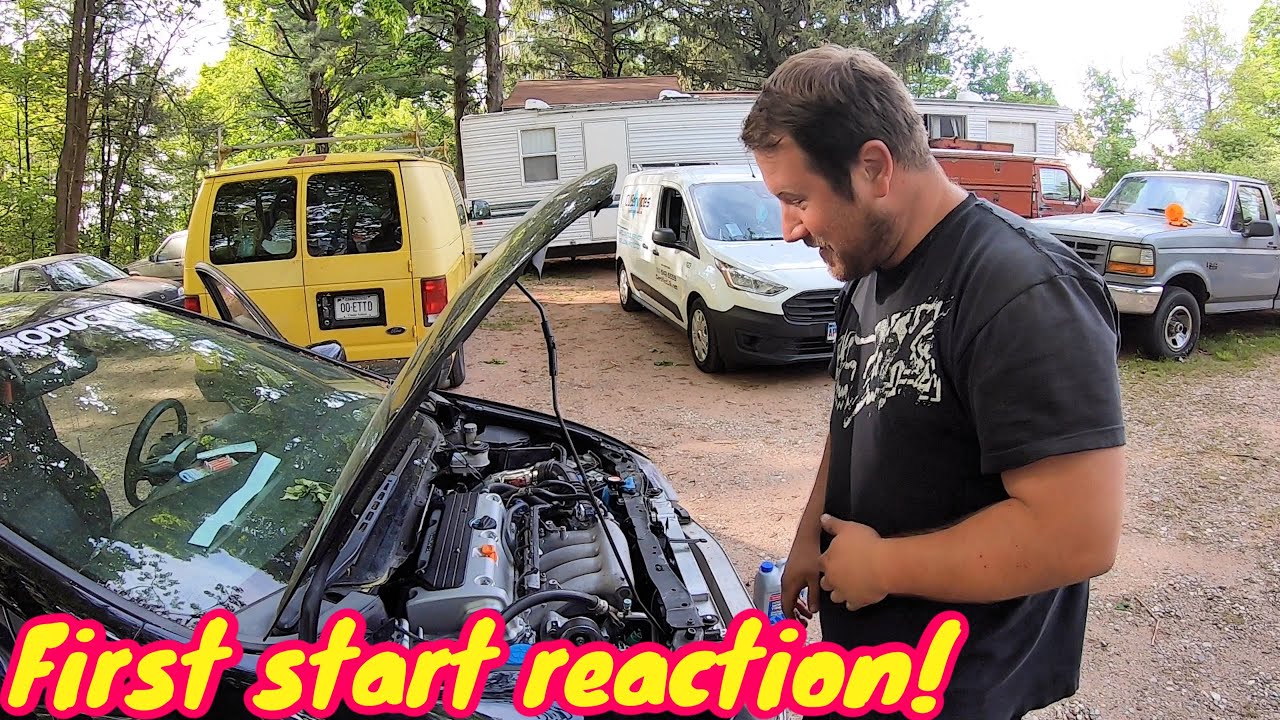Honda Jdm k24a Lives!