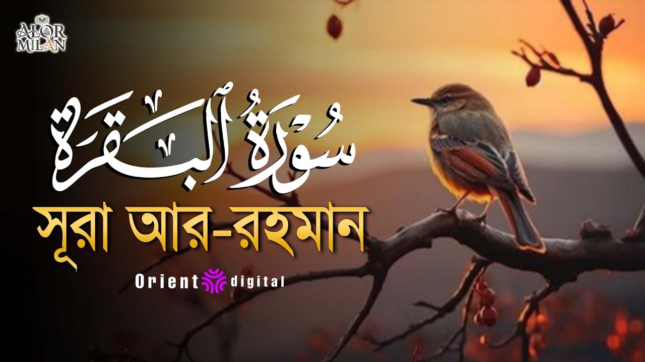 সূরা আল বাকারা এর অত্যন্ত দরদী কন্ঠে তিলাওয়াত┇Surah Al Baqarah Recited by Ahmed Kaseb