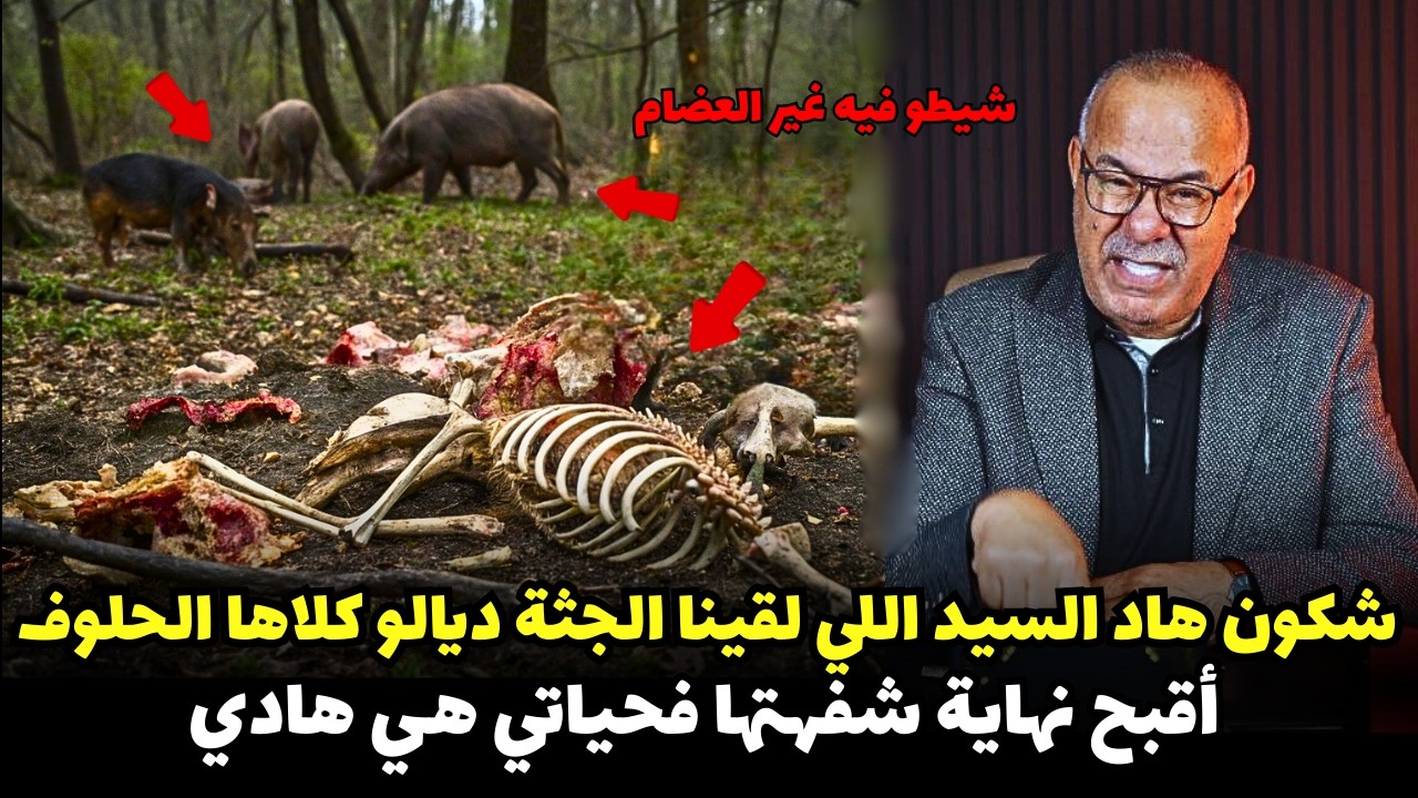 قصة مشوقة وحدث غريب كان سبب في حل القضية المعقدة ... الخراز يحكي