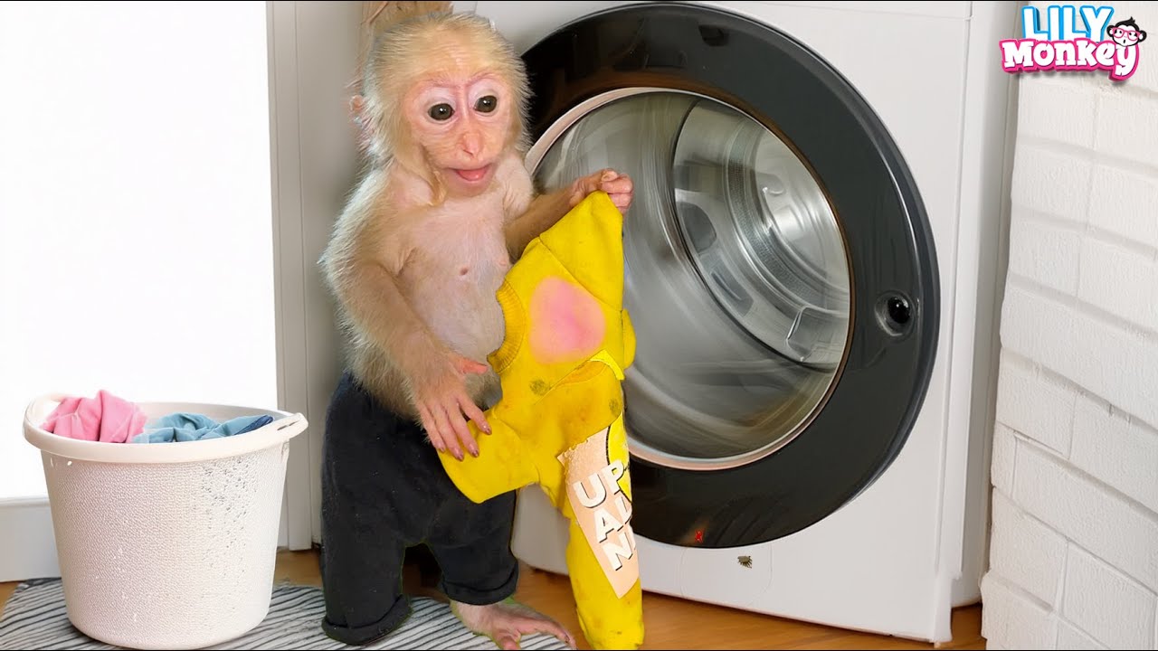 Lily plays hard and cleans up after - just the way Dad taught her! | Lily's story