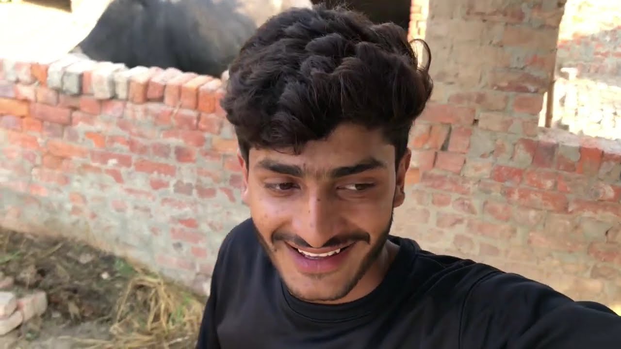 New vlog viral tranding vlog 