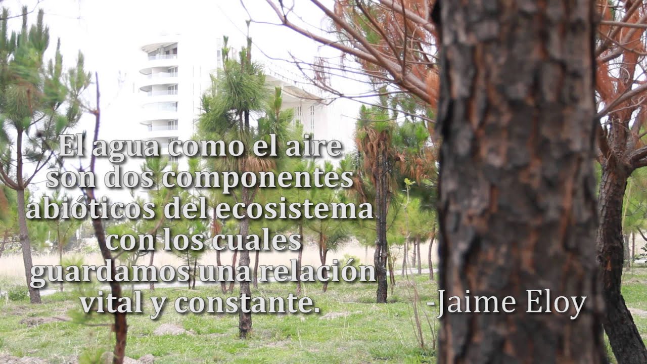 Colomos III Pulmón de la Ciudad