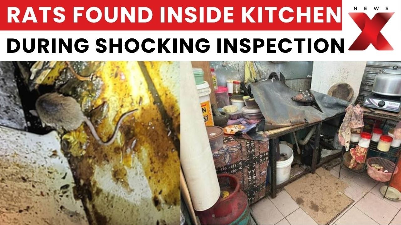 Mumbai Hotel Licence Suspended After Rats, Cockroaches Found In Kitchen | NewsX