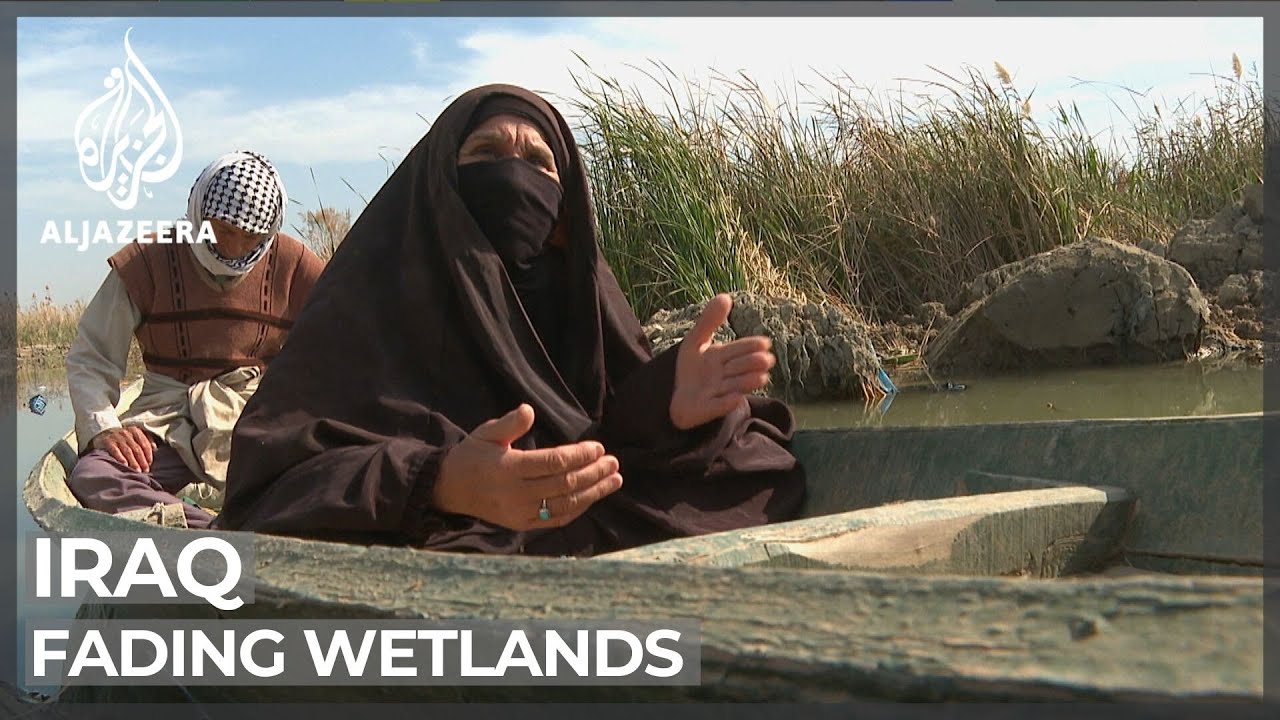 Iraq's fading wetlands: UNESCO site threatened by climate change