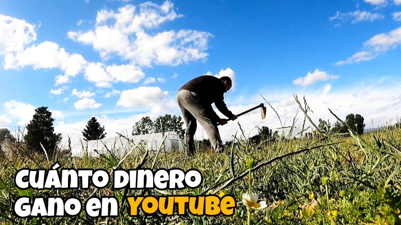 [DIARIO DE CAMPO CAP. 11] Plantando olivos, primer mes como autónomo y cuánto gano en Youtube.