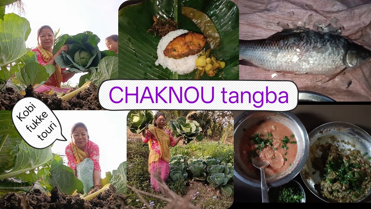 Chaknou tangle yamna haukhre || Ngasidi hingoldgi  ahanba kobisu fukle ||