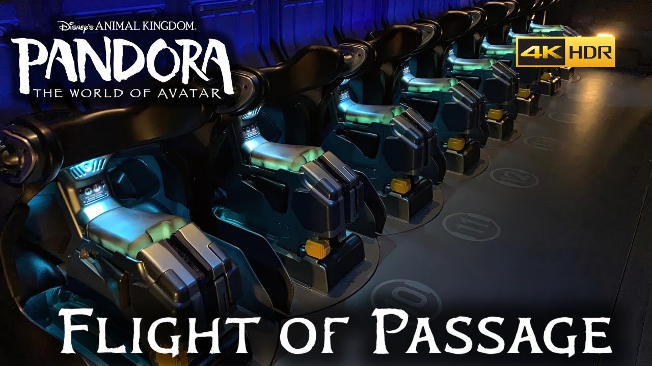 Animal Kingdoms Flight of Passage FULL POV in 4K
