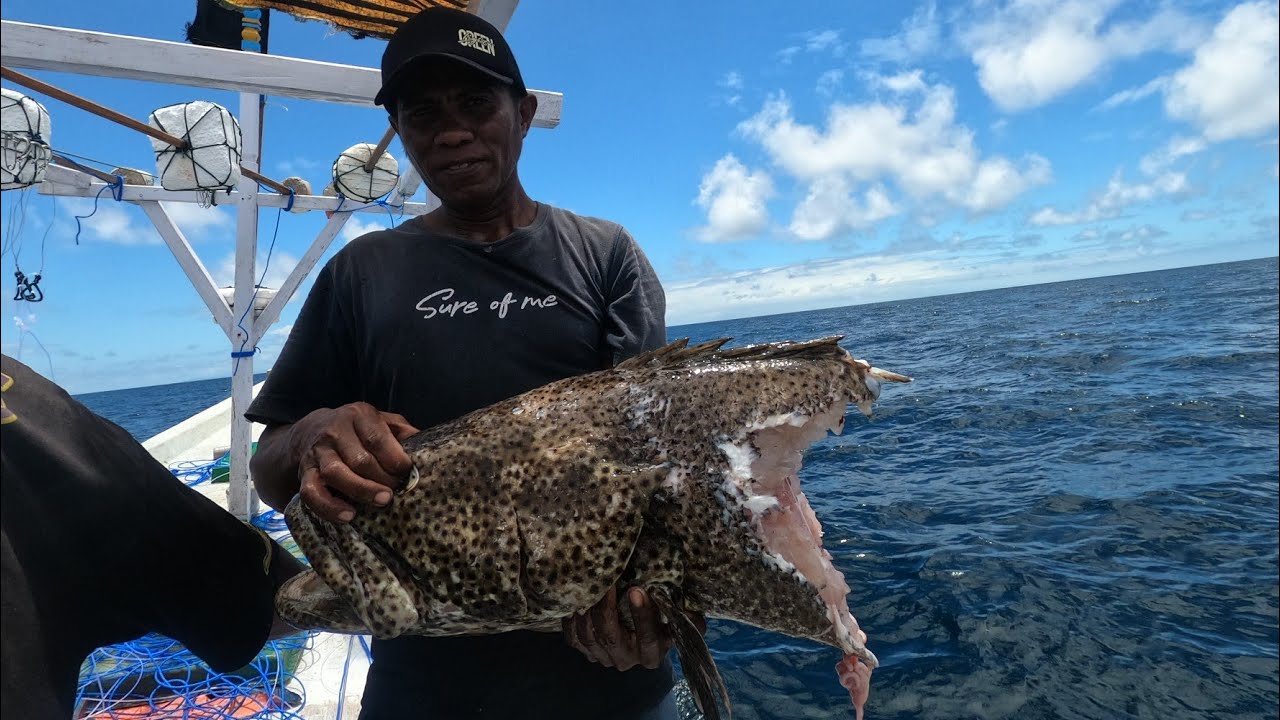 WOWW ||| IKAN KERAPU SEBESAR INI MASIH DIBEGAL JUGA!!