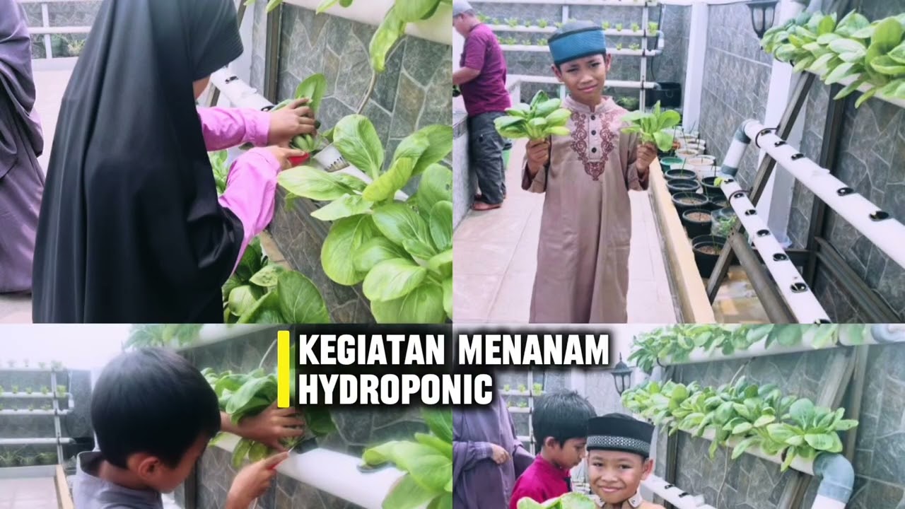 02. PMC & Aku yang sekarang || Lomba Video || PMC-HS 2025
