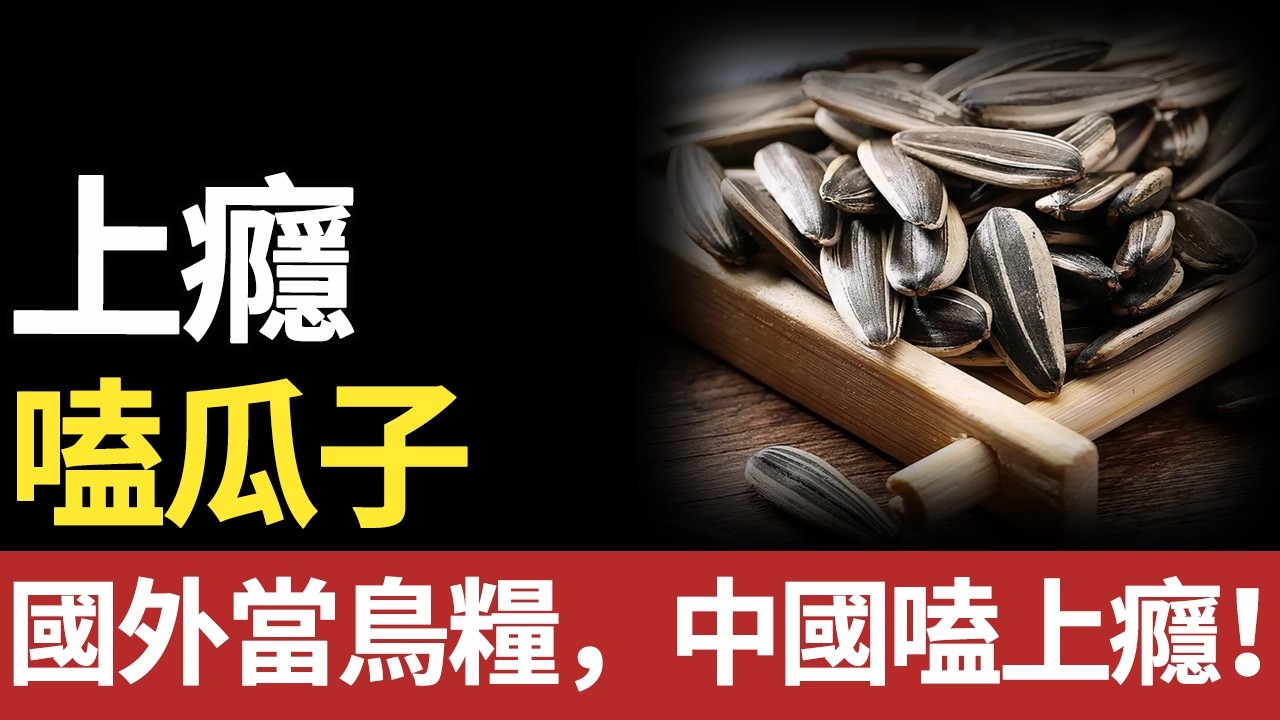 一年嗑掉95萬噸！國外當鳥糧，中國嗑上癮。瓜子憑什麼統治中國人的休閒時光？#瓜子#嗑瓜子#十万个为什么