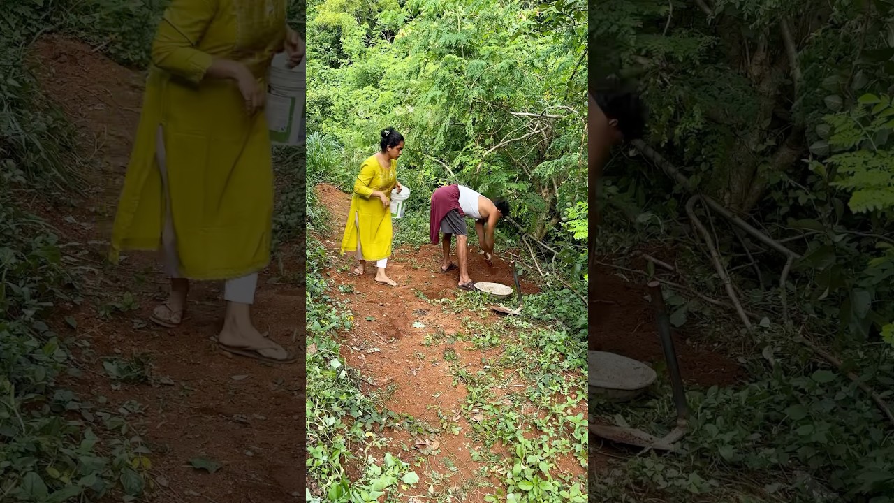 Real end twist❤️Funny videos #shorts #youtubeshorts #klshobasureshani