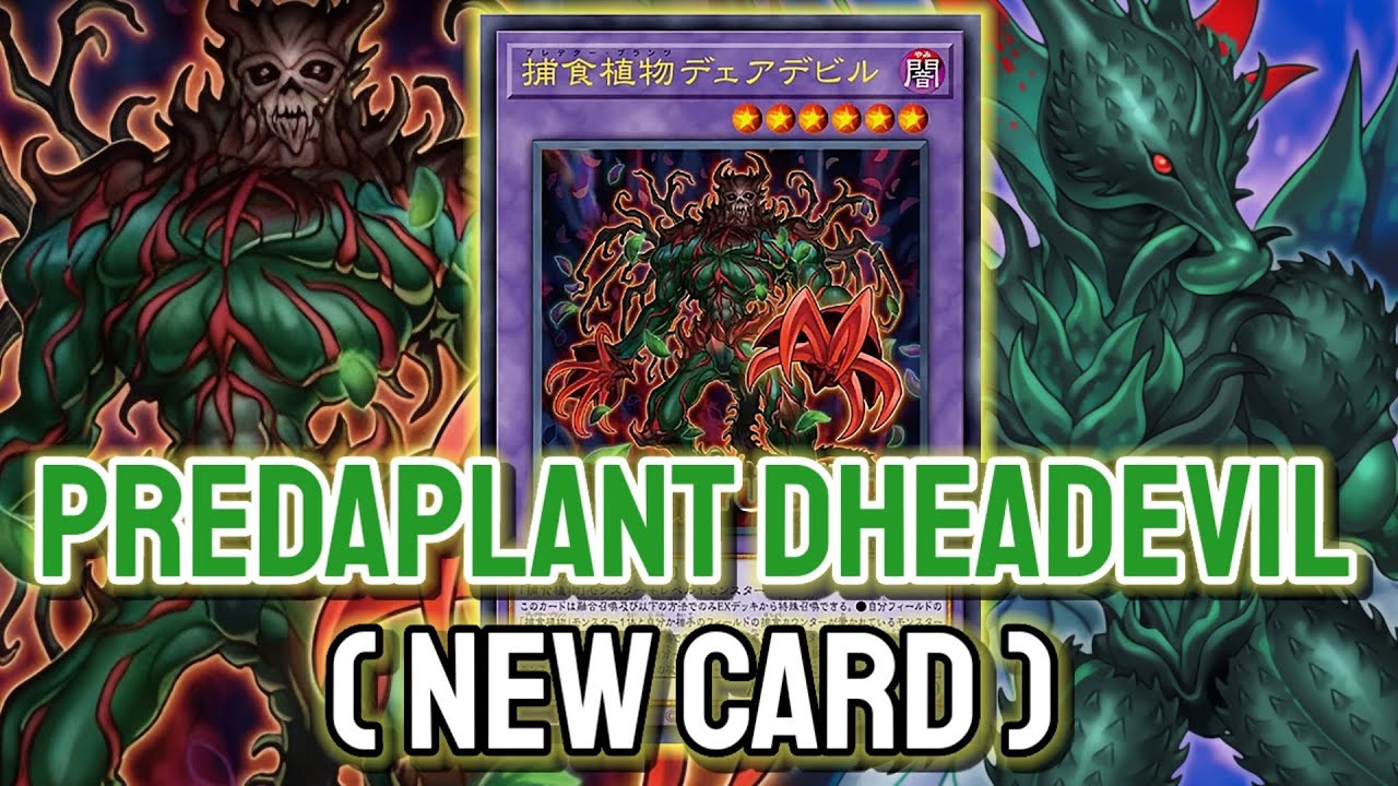 New Predaplant Contact Fusion !!💥 YGOPRO - Predaplant Dheadevil | Predaplant Feb.2026 | New Card