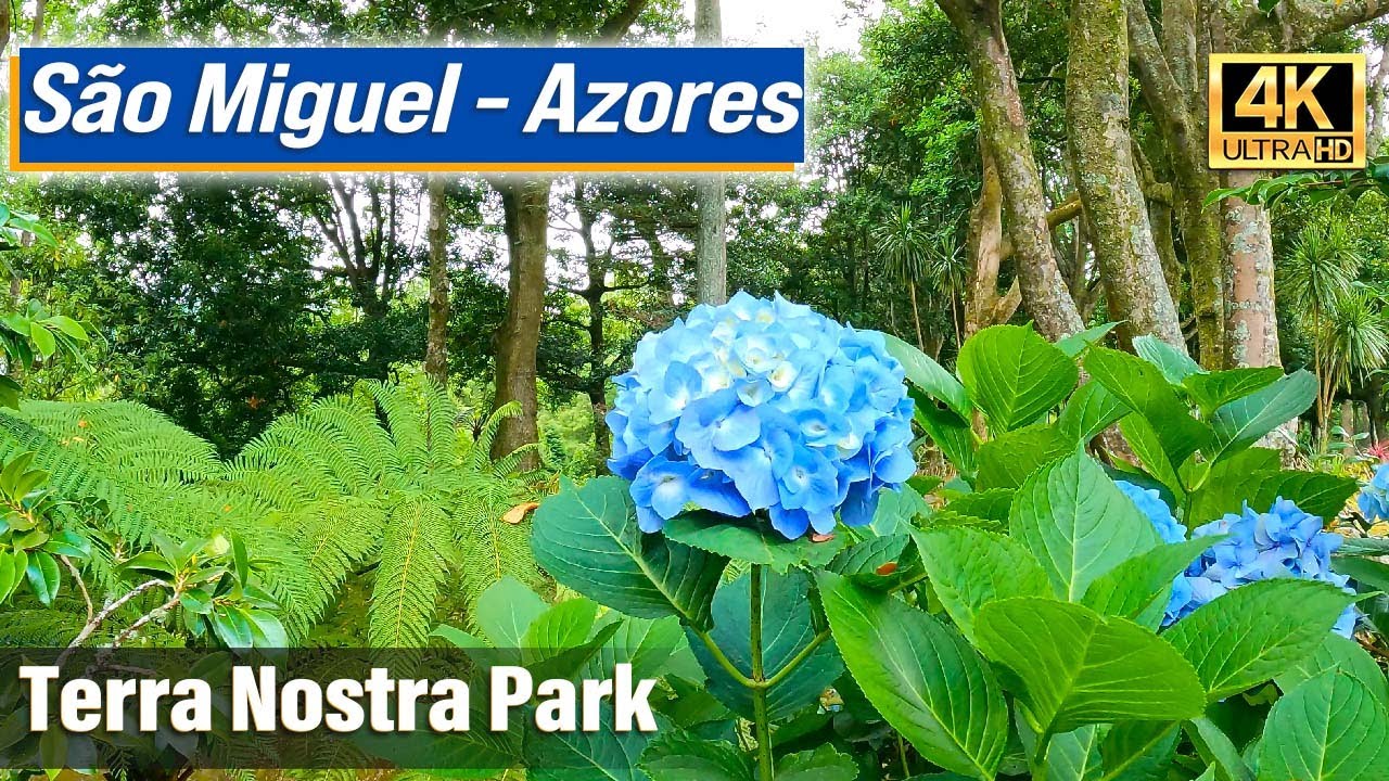 Terra Nostra Park: Thermal Baths & Botanical Beauty (Furnas, Sao Miguel - Azores Island)