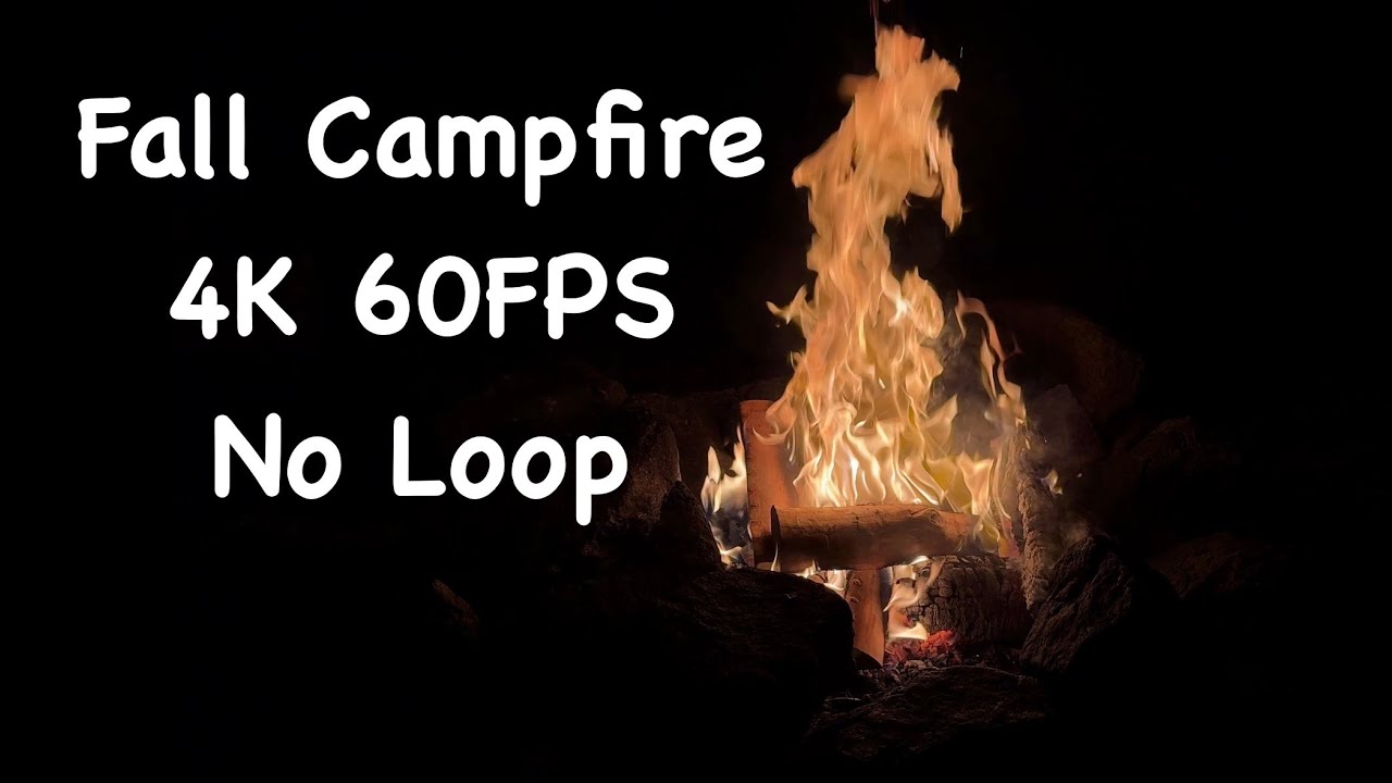 Fall Forest Campfire 4K 60FPS | Real Fireplace for TV | No Loop, No Music, Natural Sound