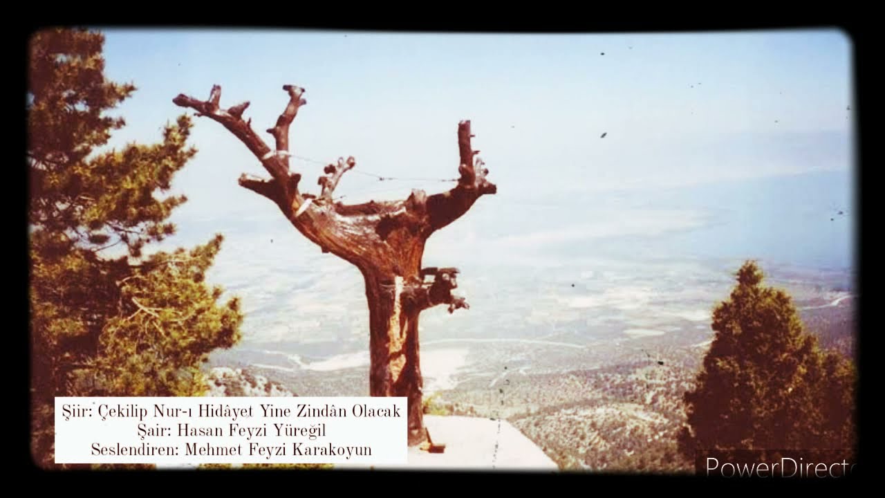 Hasan Feyzi Yüreğil - Ayrılık Şiiri