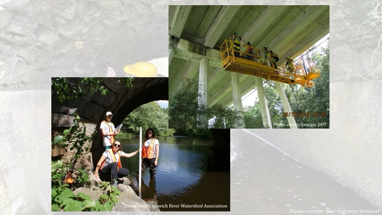 Virtual bat and transportation structures assessment training - Audio Described
