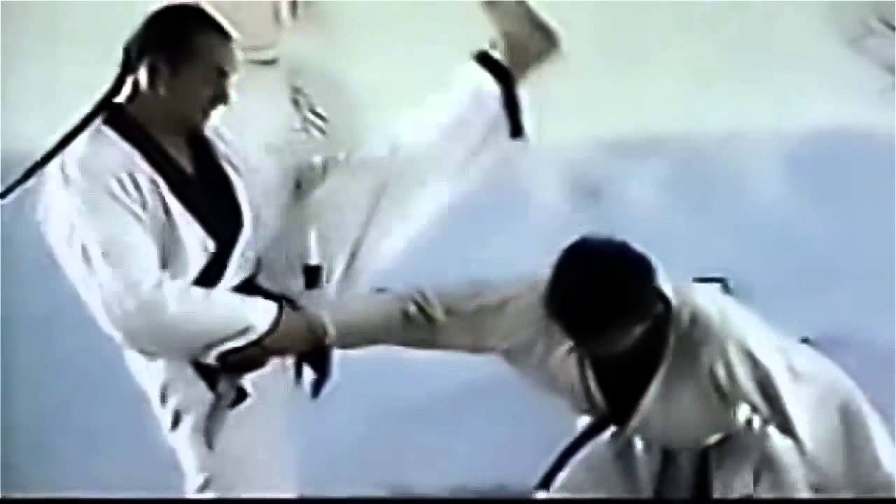 Hapkido Demo