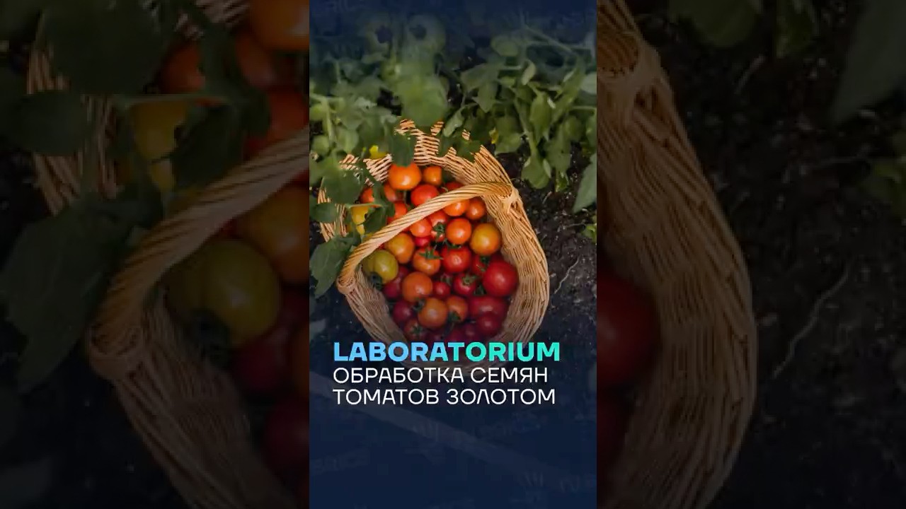 🔥 Laboratorium. How do scientists test 