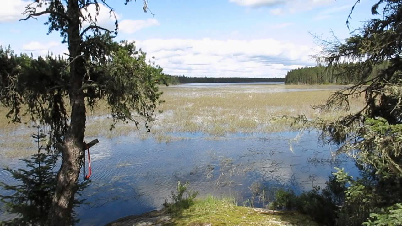 Part 7: More wild rice country: 17 day solo canoe trip, August 2013
